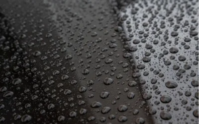 Beyond the Surface: The Science of Paint Protection